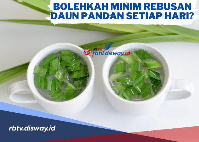 Bolehkan Minum Rebusan Daun Pandan Setiap Hari? Begini Aturannya Jangan Dilanggar