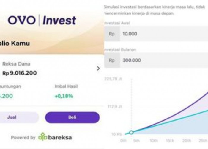 Investasi di OVO Bisa Untung Puluhan Juta, Modal Cukup Rp10.000, Begini Caranya