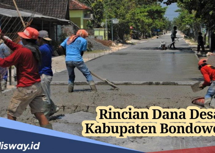 Rincian Dana Desa Kabupaten Bondowoso 2024, Ini Daftar Desa yang Dapat Anggaran Paling Besar 