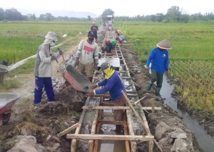 Bukan Bengkulu, Ini Provinsi dengan Gaji Pendamping Lokal Desa Tertinggi di Sumbagsel
