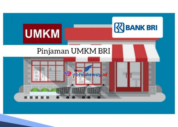 2 Jenis Pinjaman UMKM BRI, Solusi Tepat Pemenuhan Kebutuhan Dana dengan Limit Besar 