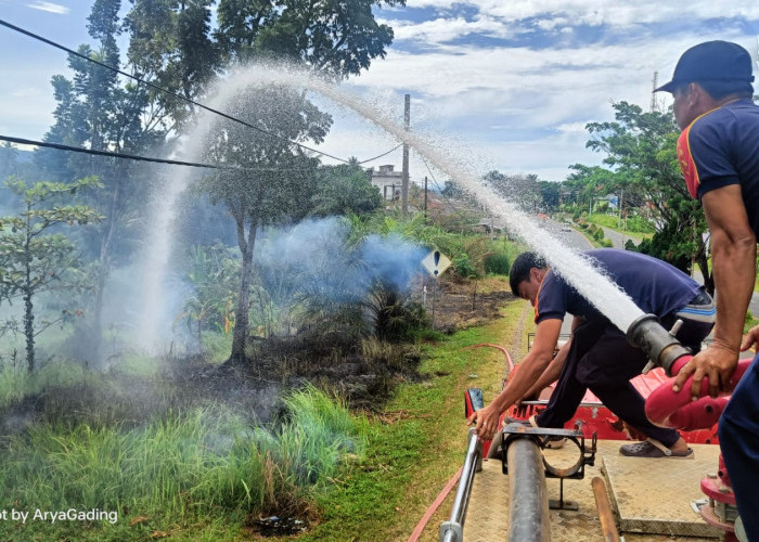 Waspada Cuaca Ekstrem, Lahan MAN Model Seluma Terbakar