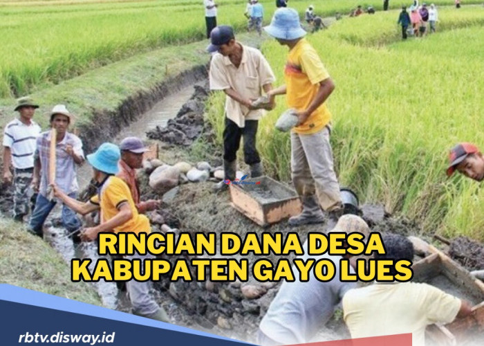 Rincian Dana Desa Kabupaten Gayo Lues, Ini Desa Penerima Alokasi Dana Terbesar di Tahun 2024