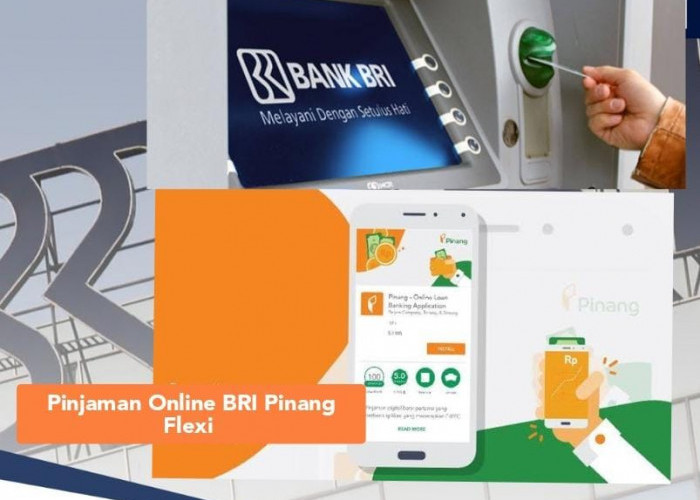 Pinjaman Online BRI Pinang Flexi 2024 Plafon Rp 15 Juta Proses Cair 15 Menit, Bisa Bayar Sampai 12 Bulan 