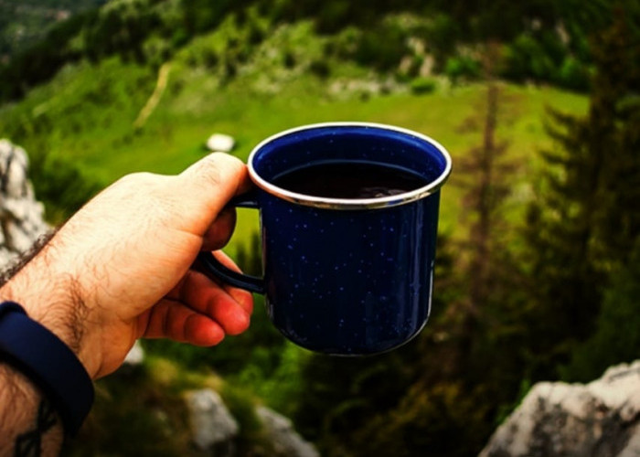 Minum Kopi Juara di Puncak Eksotis, Mau? Ini Alasan Mendaki Atap Bengkulu