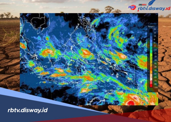 Waspada! BMKG Prediksi La Nina 2024 Melanda Indonesia, Ancam Para Petani