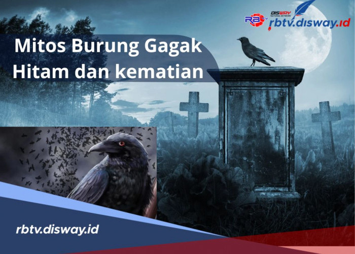 Mitos Burung Gagak Hitam dan Kematian, Misteri Mahluk Penjaga Kematian, Ini Penjelasannya