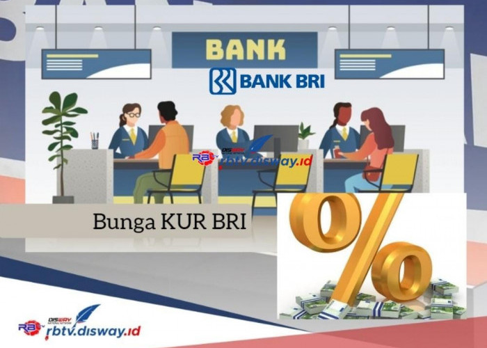 Bunga KUR BRI 2024 Terbaru, Plafon Pinjaman Rp 15 Juta Cicilan Ringan, Asal Punya Usaha Pinjaman Cair 