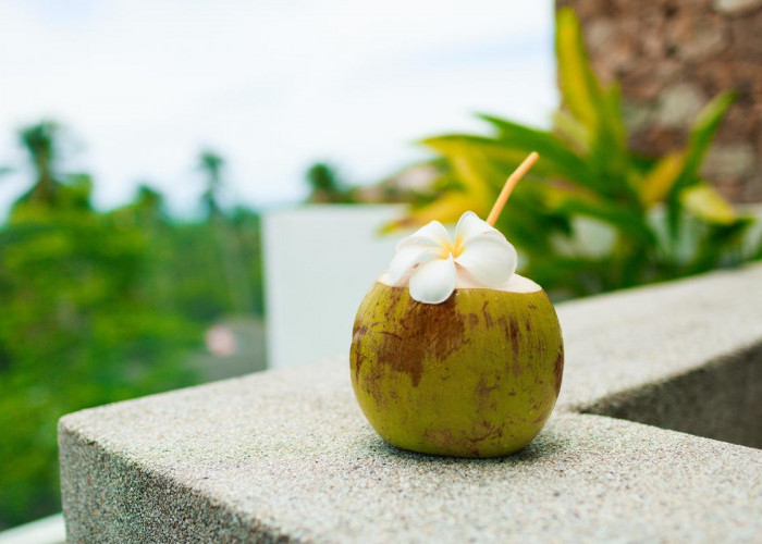 Walaupun Banyak Manfaatnya, Minum Air Kelapa juga Harus Pakai Aturan, Ada Risiko Gangguan Ginjal