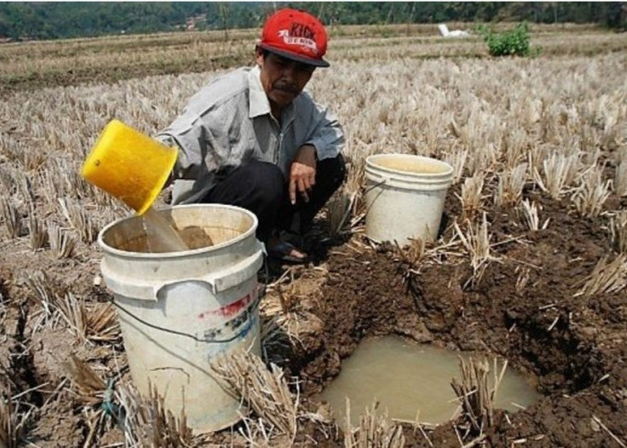 Siap-siap, Ini Jadwal Kedatangan Musim Kemarau di Indonesia