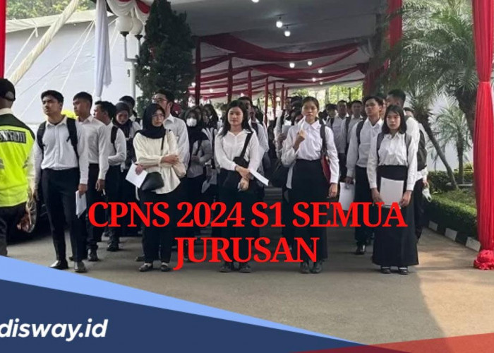 Cek Tahapan Seleksi CPNS 2024, Pemerintah Siapkan 9 Formasi untuk S1 Semua Jurusan Penerimaan CPNS 2024