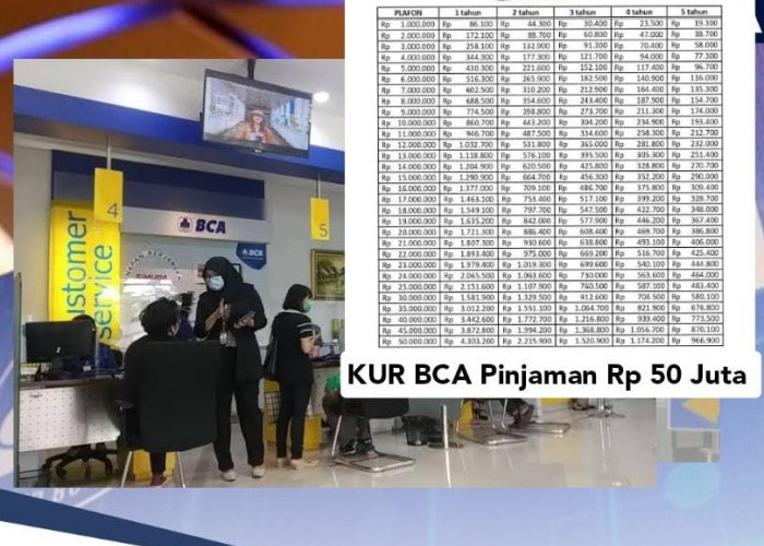 KUR BCA Rp 50 Juta Langsung Cair, Syaratnya Masukkan Nomor Hp Aktif dan Foto Selfie KTP