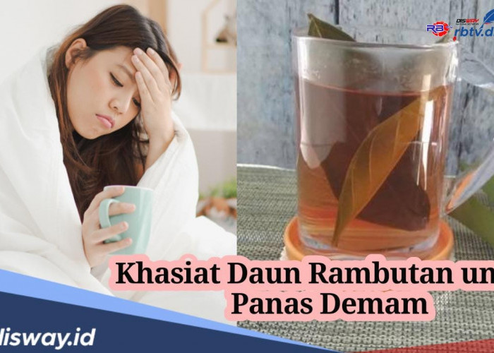 Cukup Direbus lalu Diminum, Ternyata Khasiat Daun Rambutan Bisa Turunkan Demam Panas 