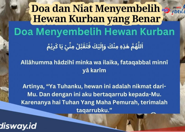 Panitia Kurban Wajib Hafal, Ini Niat dan Doa Menyembelih Hewan Kurban yang Benar