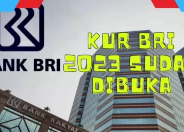 Cepat Cair! UMKM Penuhi 4 Kriteria Ini Gampang Pinjam KUR BRI 2023, Berikut Syaratnya