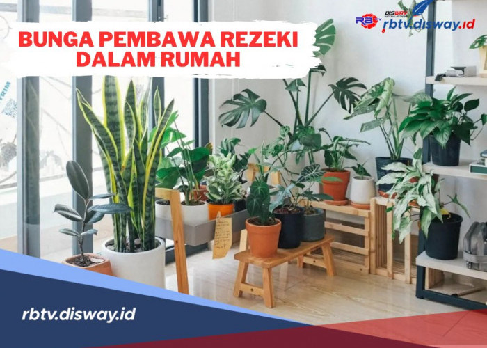 10 Bunga Pembawa Rezeki Dalam Rumah Menurut Feng Shui, Nomor 6 dan 7 Idaman Wanita