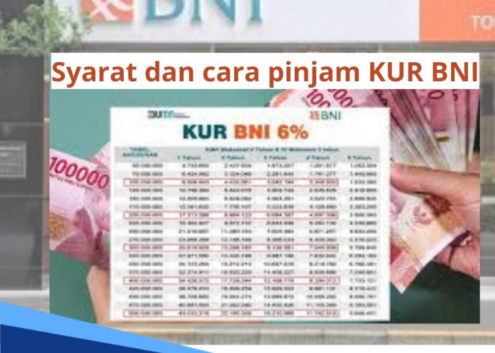 Syarat dan Cara Pinjam KUR BNI 2024, Minimal Punya Usaha dan Pengajuan Bisa Secara Online