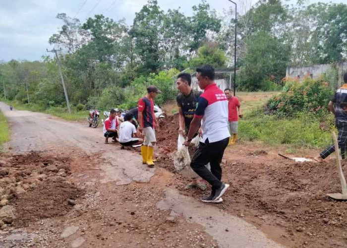 Tabel Rincian Dana Desa di Kabupaten Paser Tahun 2024, Bisa untuk Perbaikan Jalan