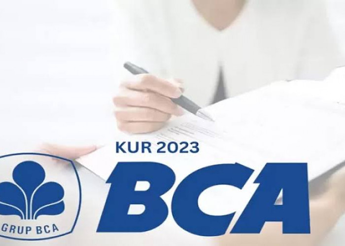 Tips! 7 Cara Pengajuan KUR BCA 2023 Anti Ditolak, Rp500 Juta Cair ke Rekening