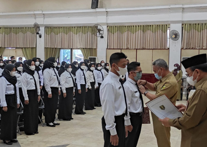 Menurut Undang-undang Begini Sanksi Bagi PPPK yang Mengundurkan Diri