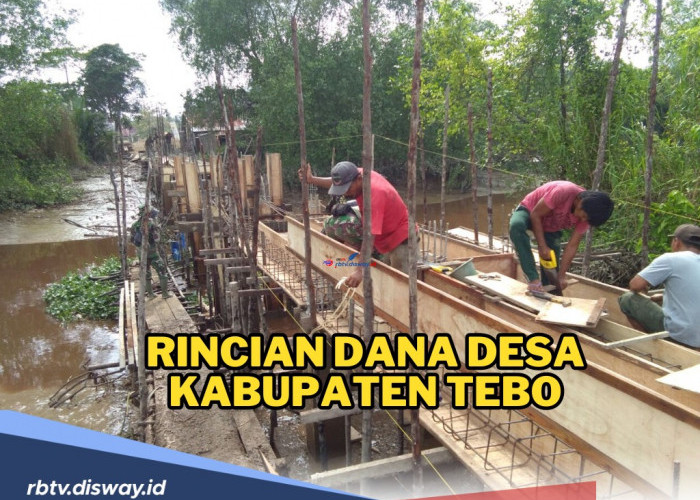 Rincian Dana Desa Kabupaten Tebo Provinsi Jambi 2024, Beberapa Desa Dapat Lebih dari Rp 1 Miliar