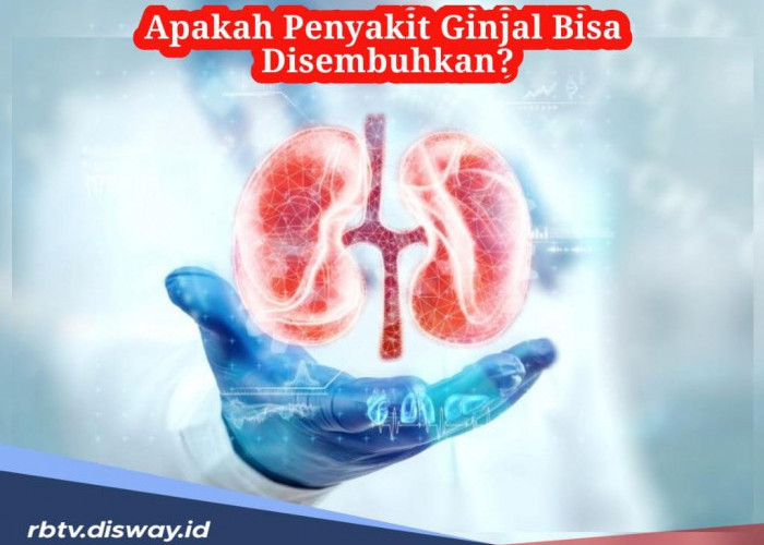 Fenomena Kasus Cuci Darah Didominasi Usia Muda, Apakah Penyakit Ginjal Bisa Disembuhkan