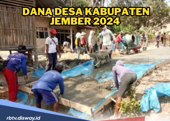 Cek Segera! Rincian Dana Desa Kabupaten Jember 2024, Ini Desa dengan Alokasi Dana Rp 2 Miliar Lebih