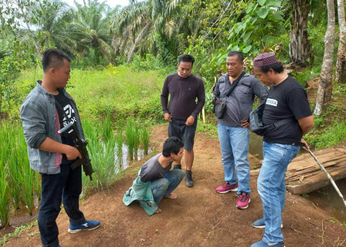 Akhir Pelarian Tahanan Polsek Teluk Segara, 6 Bulan Sembunyi di Kebun