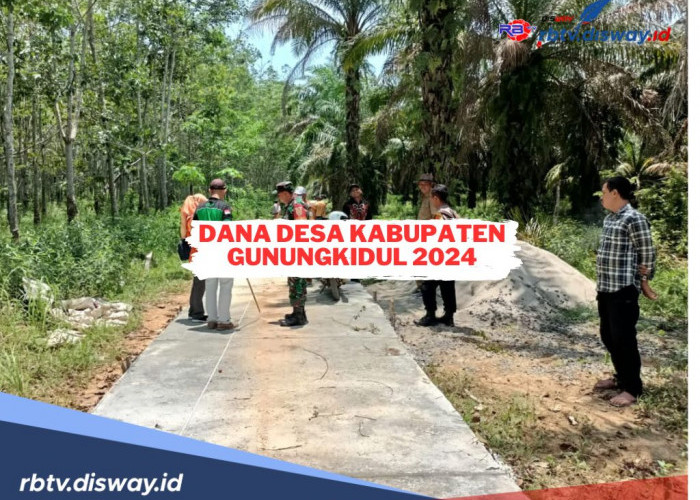 Sudah Disalurkan, Segini Dana Desa di Kabupaten Gunungkidul Tahun 2024, Lengkap Semua Desa