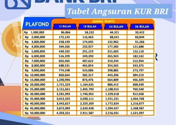 Tabel Angsuran KUR BRI 2 Februari 2024 Pinjaman Rp 50 Juta, Ini Syarat Penerima agar Langsung di Acc