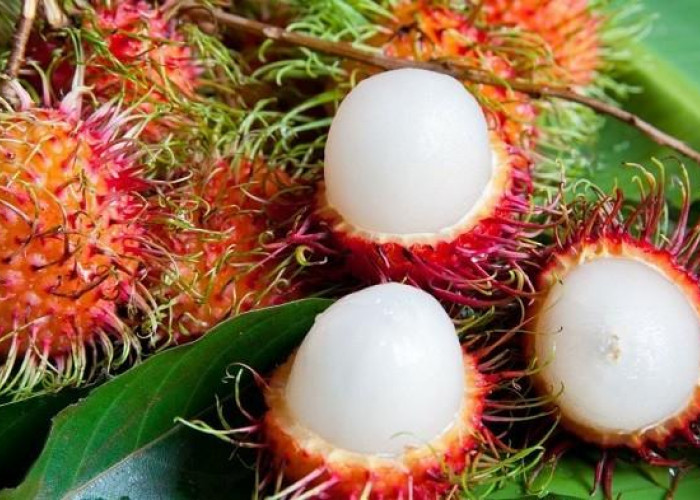 Modal Rp 10 Ribu Sudah Bisa Cantik, Tidak Perlu ke Salon Cukup Beli 1 Kilo Rambutan