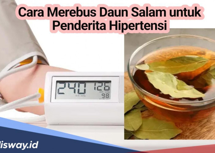 Diyakini Ampuh, Bagi Penderita Hipertensi, Begini Caranya Merebus Daun Salam Sebagai Obat