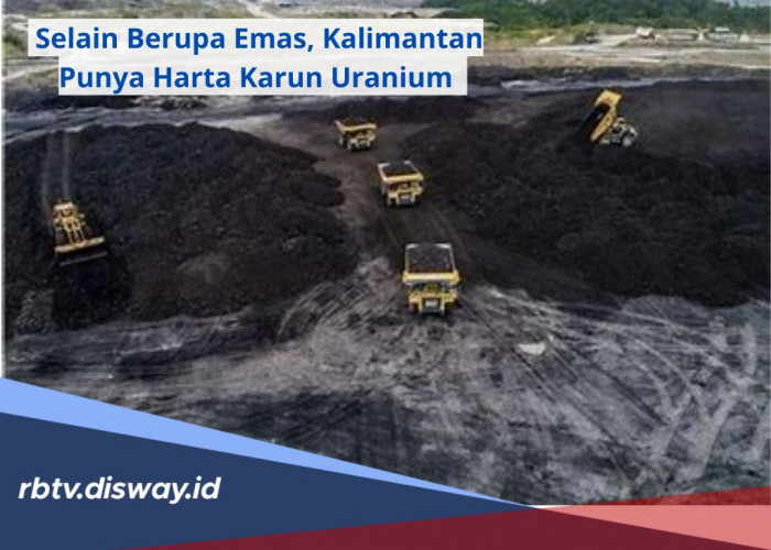 Selain Emas, Ternyata Kalimantan Punya Harta Karun Uranium, Segini Jumlahnya 