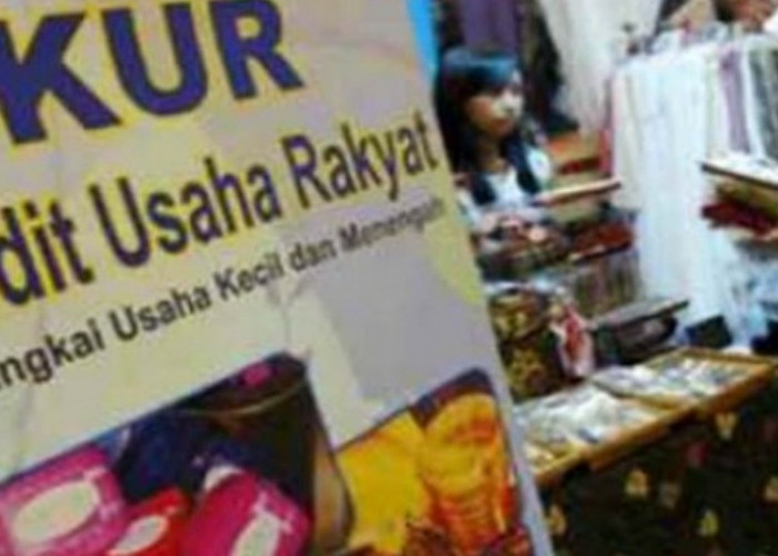 Pelaku Usaha Jenis Ini Bisa Pinjam KUR BRI Hingga 4 Kali Rp100 Juta Cair Tanpa Jaminan, Ini Syaratnya