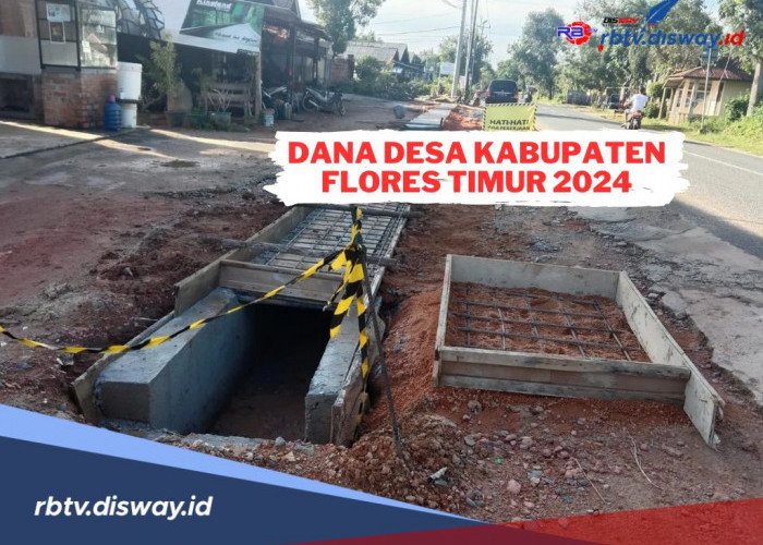 Rincian Dana Desa Kabupaten Flores Timur 2024, Ini Desa dengan Pembagian Paling Besar