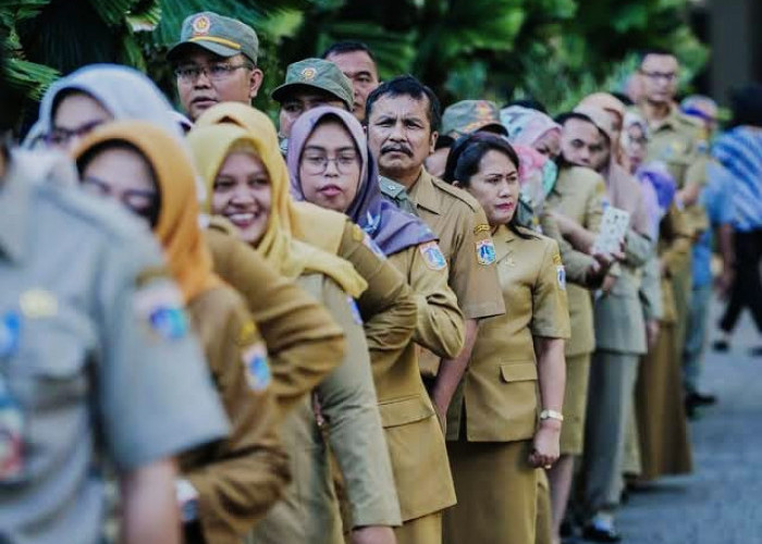 Kajian Single Salary PNS Tahun 2024, 5 Provinsi Ini Paling Untung, Tunjangan Naik Lebih 100 Persen