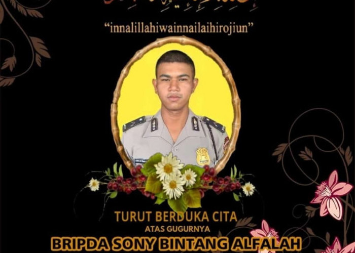 Gugur saat Bertugas, Ini Profil Personel Polres Seluma Bripda. Sony Bintang Alfalah