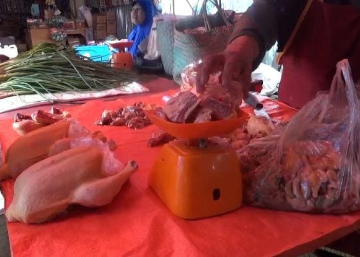 Harga Daging Ayam di Pasar Argamakmur Merangkak Naik Rp 35 Ribu/Kg