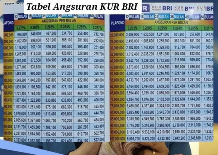 Tabel Angsuran KUR BRI 2024 Pinjaman Rp 10-100 Juta, Segera Siapkan Berkasnya 