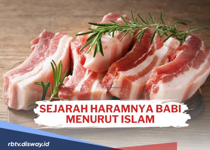 Umat Islam Wajib Tahu! Ini Sejarah Haramnya Babi Menurut Islam Bersumber Alquran dan Hadis