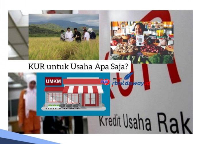 KUR untuk Usaha Apa Saja? Ini 6 Sektor Usaha Prioritasnya, Bisa Pinjam Rp 100 Juta