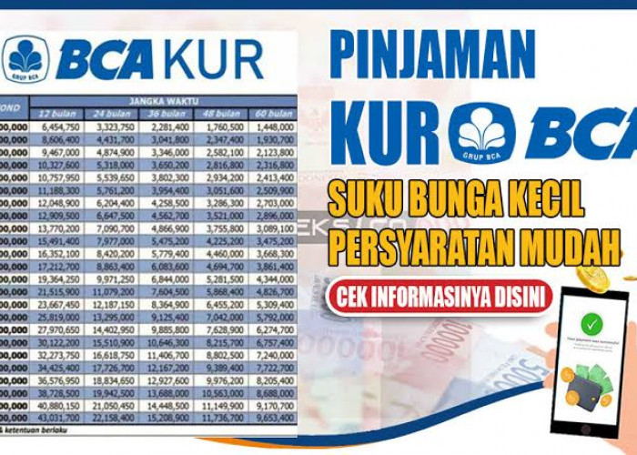 Syarat dan Tabel Angsuran KUR Mikro BCA 2024, Pinjaman Rp 10-100 Juta Tanpa Agunan