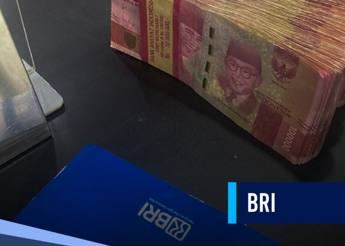 Tidak Perlu Menunggu Lama, Ini Caranya agar KUR BRI Rp 100 Juta Cair dalam 2 Hari