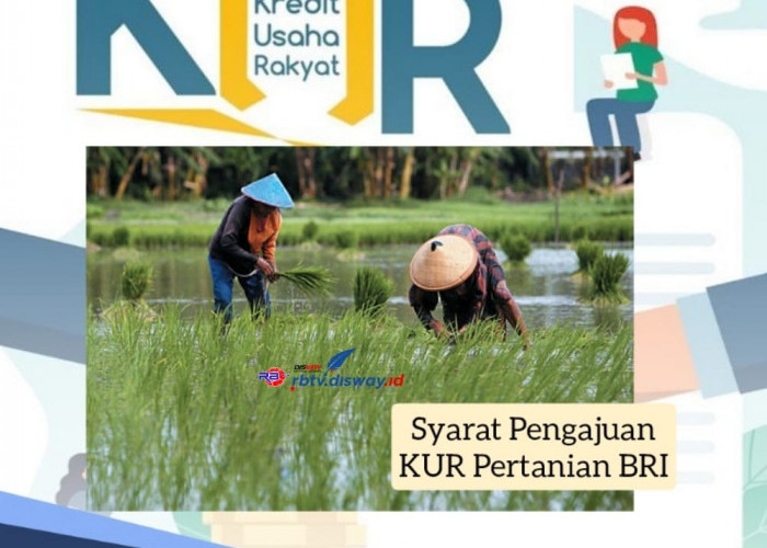 Syarat Pengajuan KUR Pertanian BRI, Pinjam Rp 50 Juta Tidak Pakai Agunan, Bunga 6 Persen