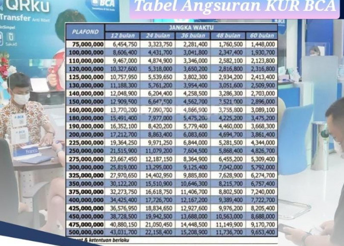 Pinjaman Rp100 Juta KUR BCA 2024 Cicilannya di Bawah Rp 2 Juta Bisa Dapat Jaminan Risiko Kredit Macet