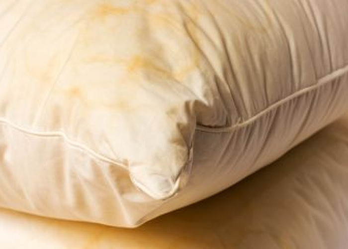 6 Cara Menghilangkan Jamur di Bantal, Jangan Anggap Remeh karena Jamur Bantal Bisa Sebabkan Asma