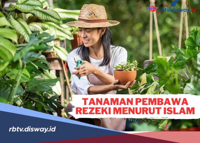 10 Tanaman Pembawa Rezeki Menurut Islam, Sudah Tanam di Rumah?