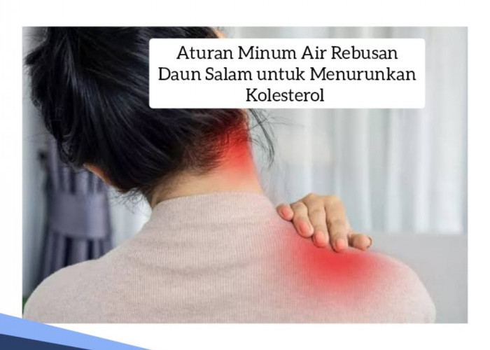 Perhatikan Takarannya, Ini Aturan Minum Air Rebusan Daun Salam untuk Menurunkan Kolesterol