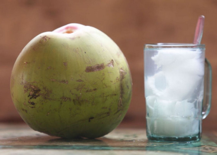 7 Dampak Buruk Minum Air Kelapa, Anjurannya hanya Segini per Hari