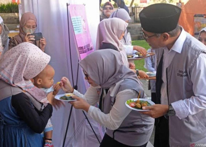 BKKBN Buka Lowongan Kerja Satgas Stunting 2024, Lulusan SMA hingga S1 Buruan Daftar